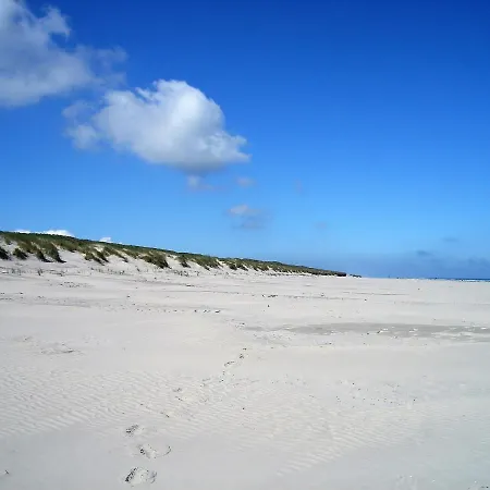 Vriesenhuus Vriesenhimmel ג'וסט